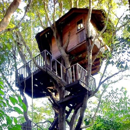 Rabeang Pasak Tree House Resort Chiang Mai Eksteriør billede